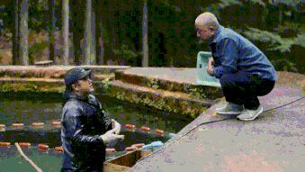 泰国广告爱情广告,评价泰国广告