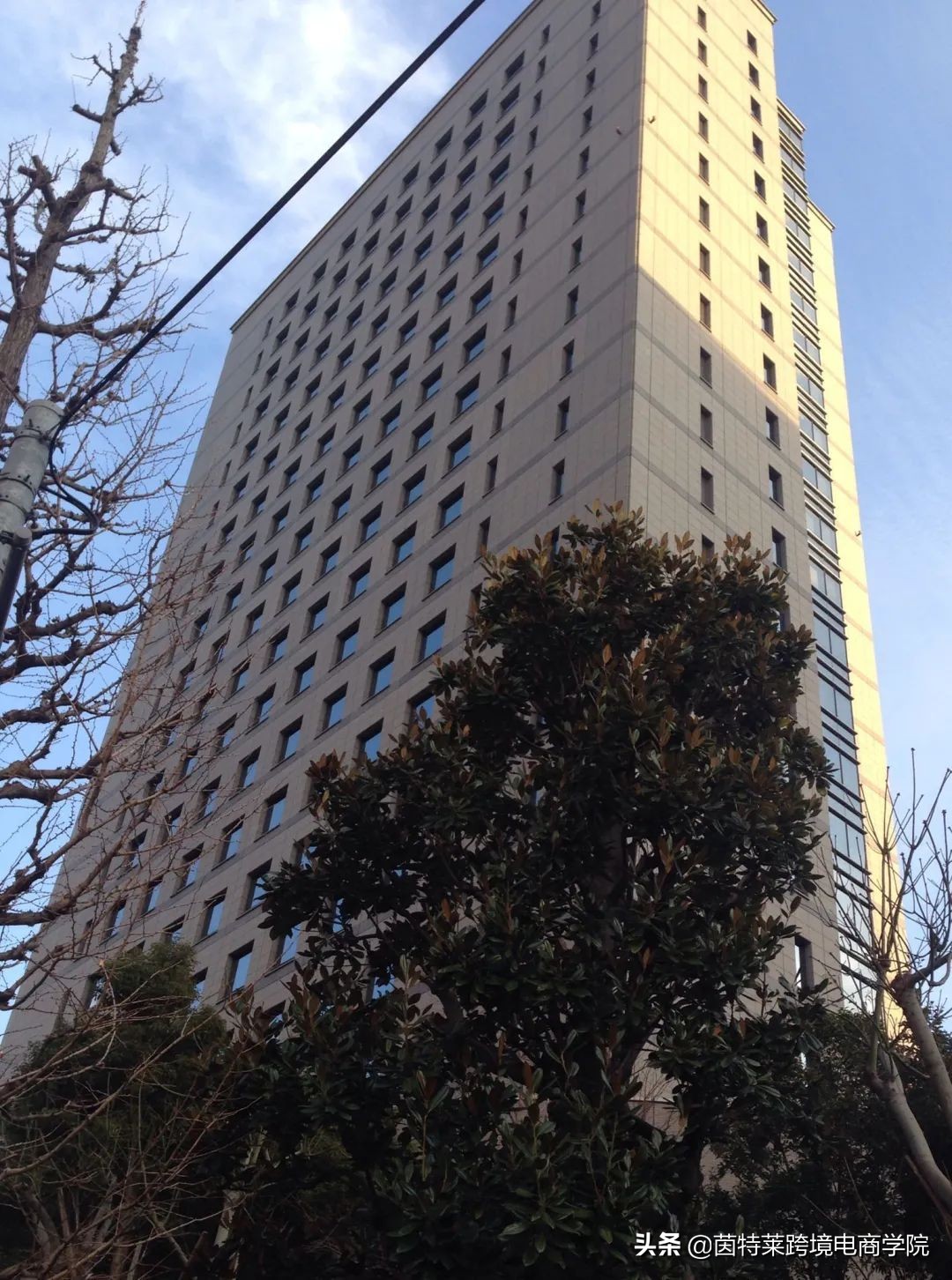 外贸大事件最新消息,关于外贸最新事件