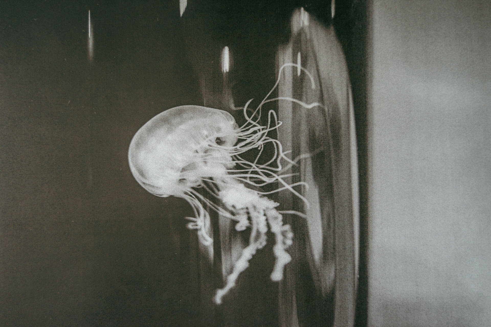 有了它再也不用去给打印店做贡献了,一部老年机的钱,全家都能用