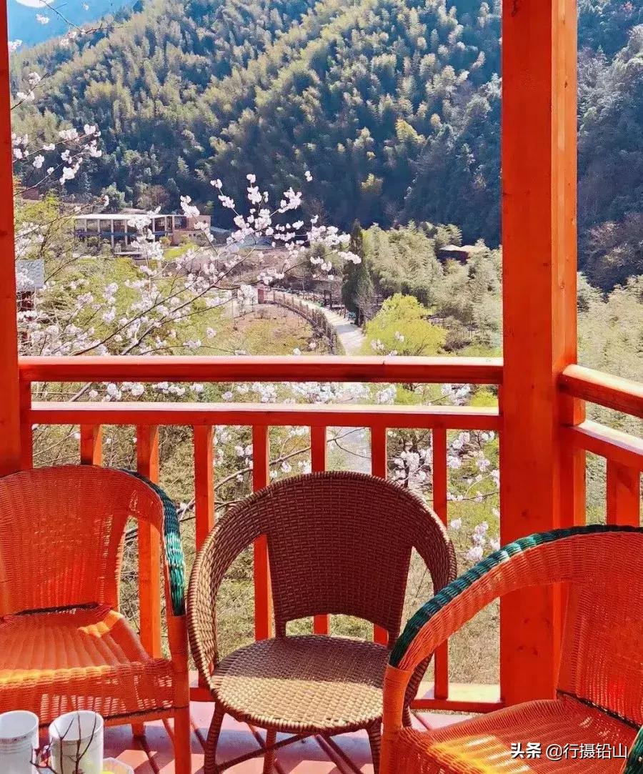 春游|五府山踏青蜜蜂谷