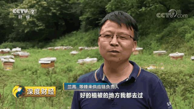 春夏还能这么吃健康养生吃不腻,春夏秋冬适合喝什么滋补