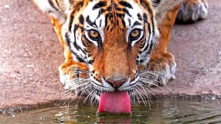 股市技术图谱,股市独家干货技术