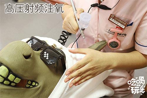 鑺辩摚缇庡鎶よ偆,鑺辩摚鎶よ偆