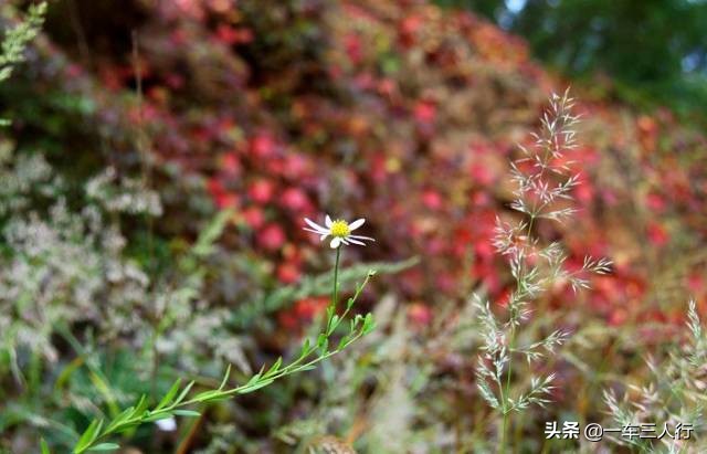 大连有一个蓝色的小城堡景点,大连秋季旅游景点攻略大全