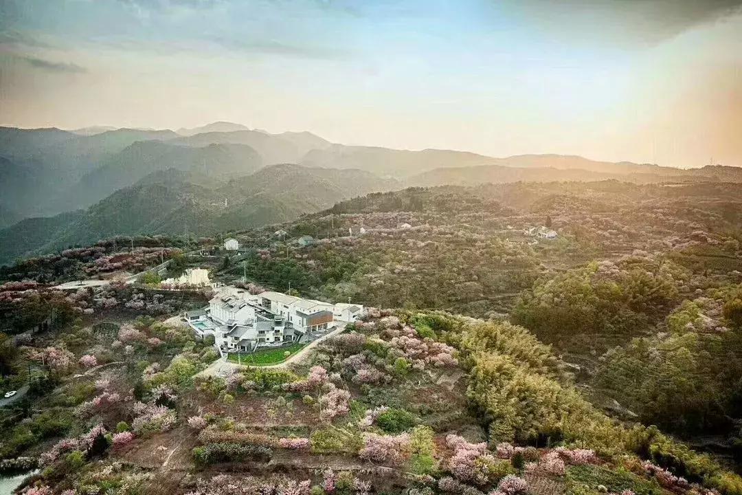 最美民宿世外桃源,最美的世外桃源民宿