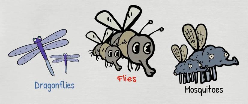 关于动物的英语单词100个带图片,英语常用词汇整理
