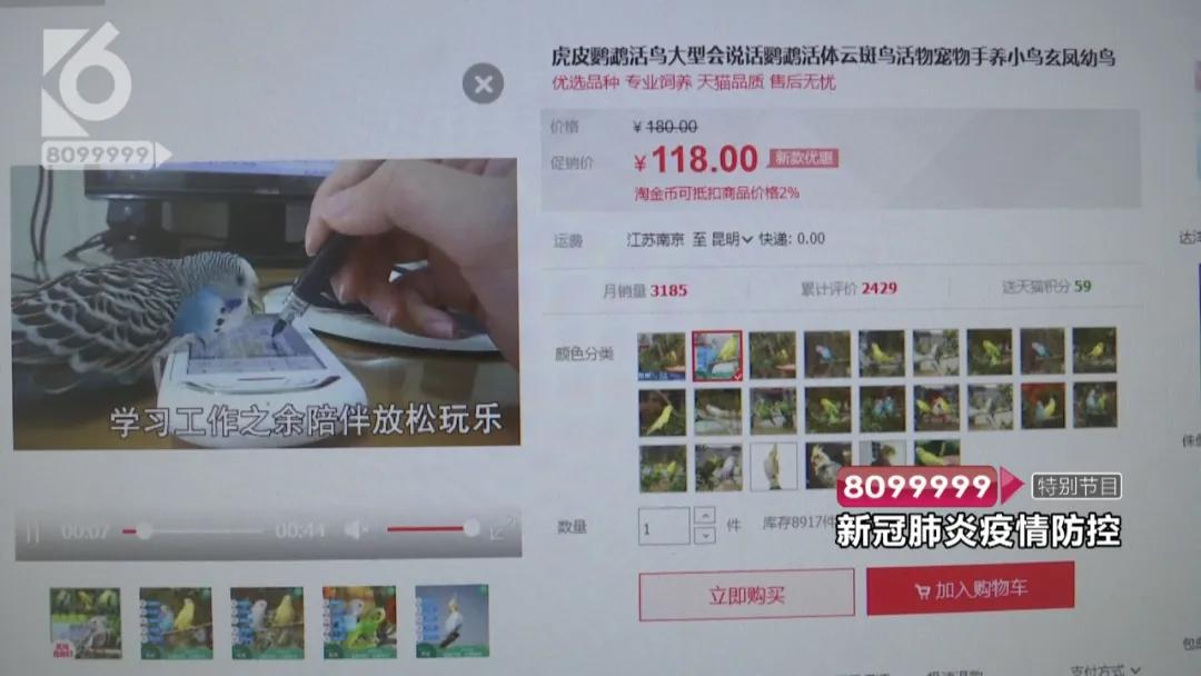 花鸟市场买宠物开放了吗,哪里有正规的花鸟市场