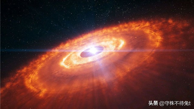 10个冷知识:用手触摸“癞蛤蟆”,手上不会起疙瘩