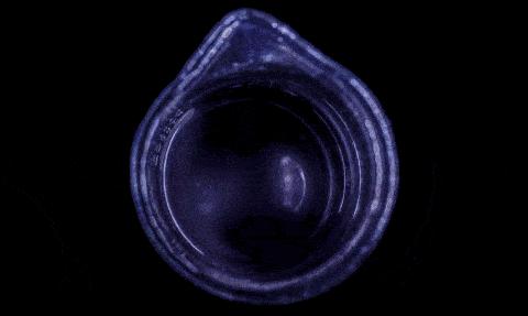 猫咪喝水碗里有红色蠕动虫子,猫咪喝水碗里有小黑虫