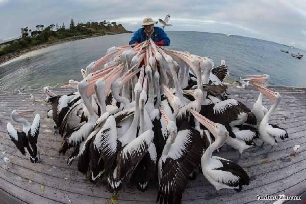 学会这招不愁找不到女朋友,学会这几招不怕找不到女朋友