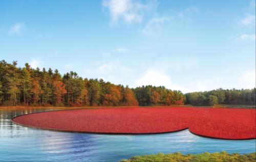 女神节和你的女神一起喝杯酒,女神节和女神一起过
