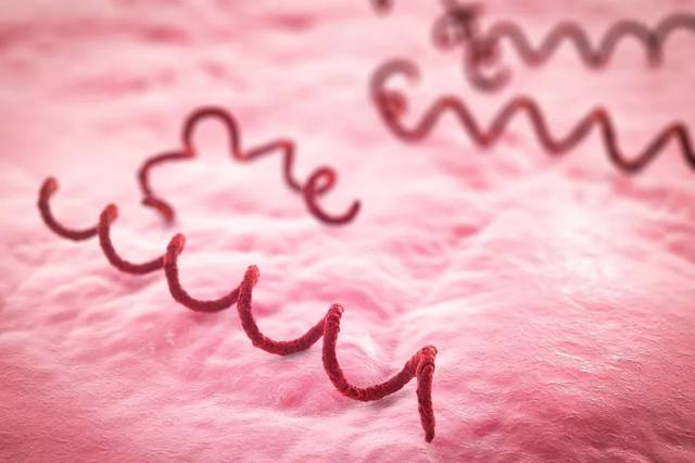 现代梅毒和古代梅毒区别,梅毒古代叫什么