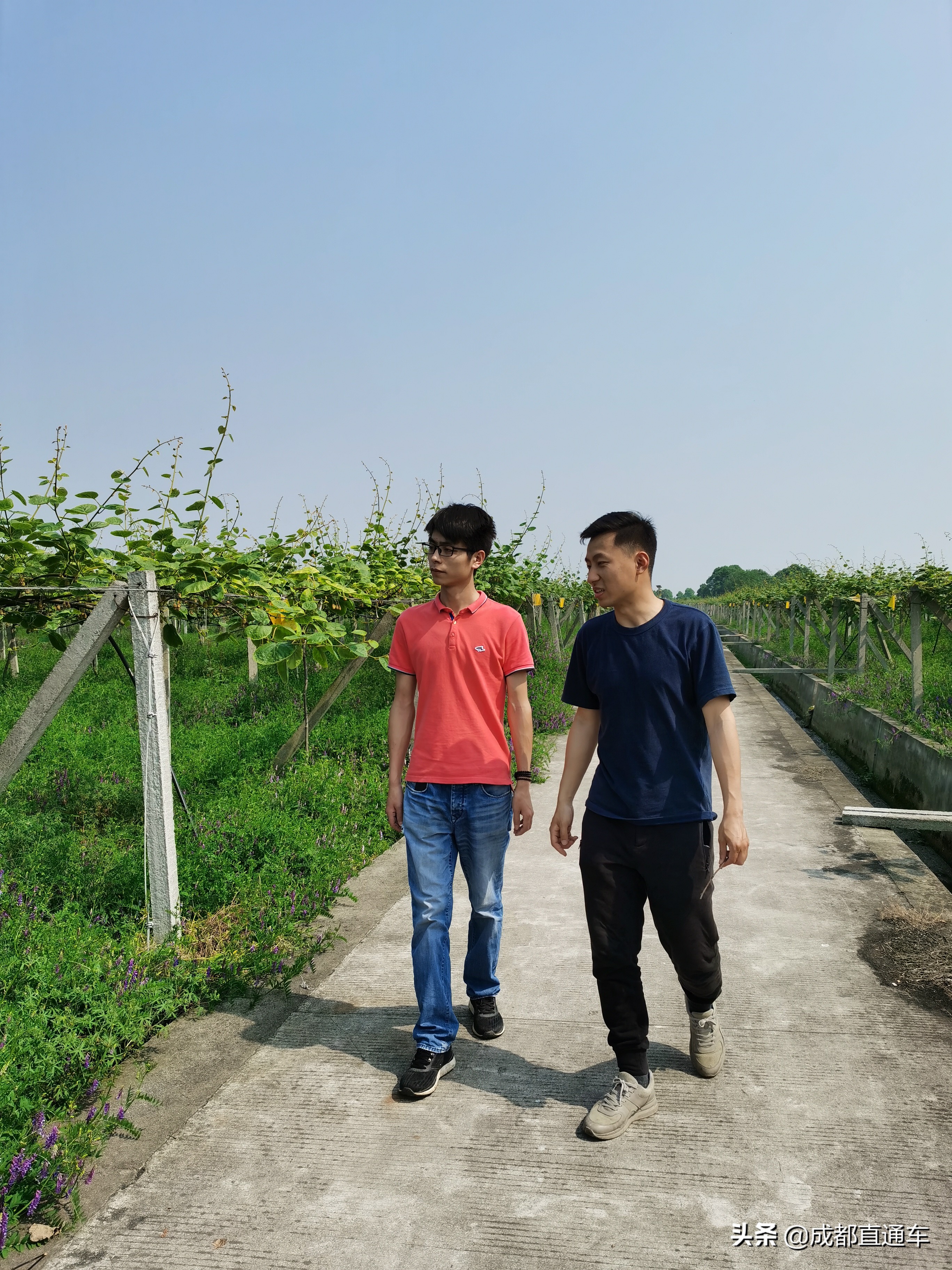 鏉ㄥ浆鍒涗笟鏁呬簨,鏉ㄥ浆鍒涗笟璺笂