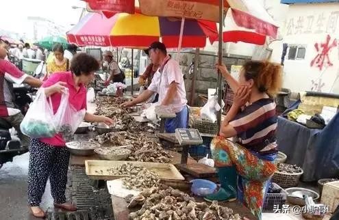 海鲜干货推荐烟台店有哪些,烟台海鲜干货怎么挑