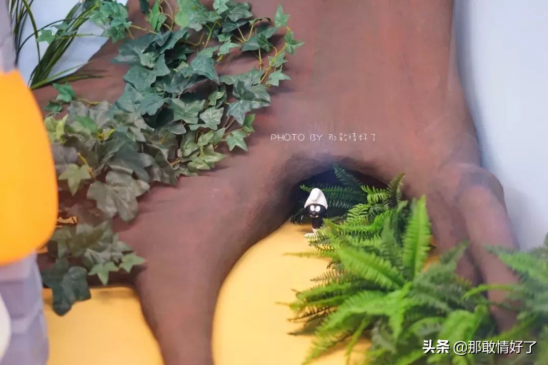 在蓝精灵的故乡邂逅天价纹身*国猪中**，只因我国没有动物保护约束