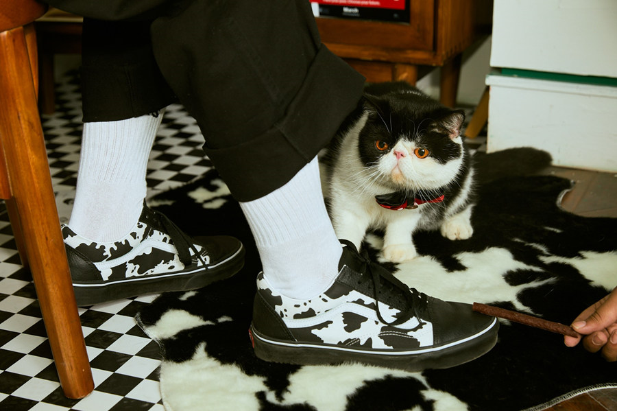 平平无奇养羊小天才,平平无奇cadence小天才