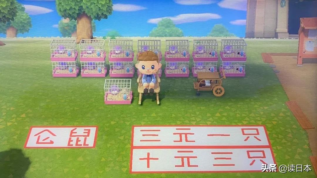 动物森友会的细思极恐的传闻,动物森友会大揭秘