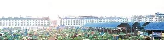 全国蔬菜批发市场十大排名图,全国各地大蔬菜批发市场现状