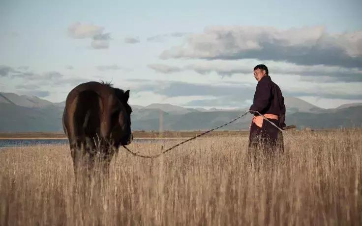 选择雅马哈,选择安达驾校