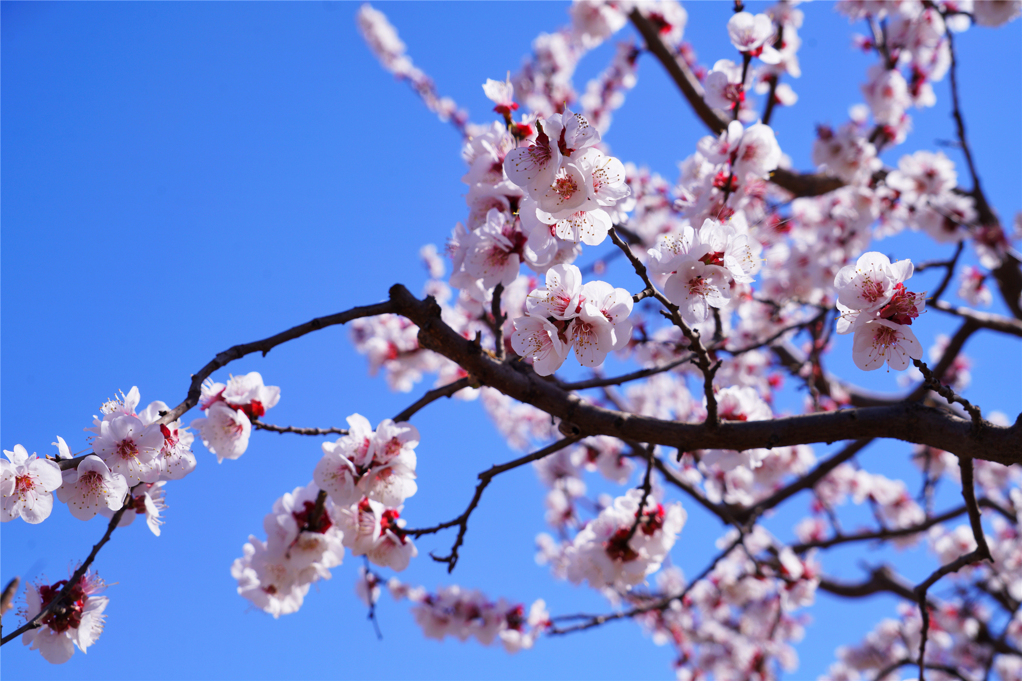 河北这座文旅小城值得一去,河北的一座小县城