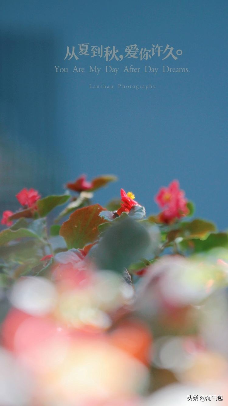 秋分愿生活恰如其分,人生恰如秋分生活恰如其分