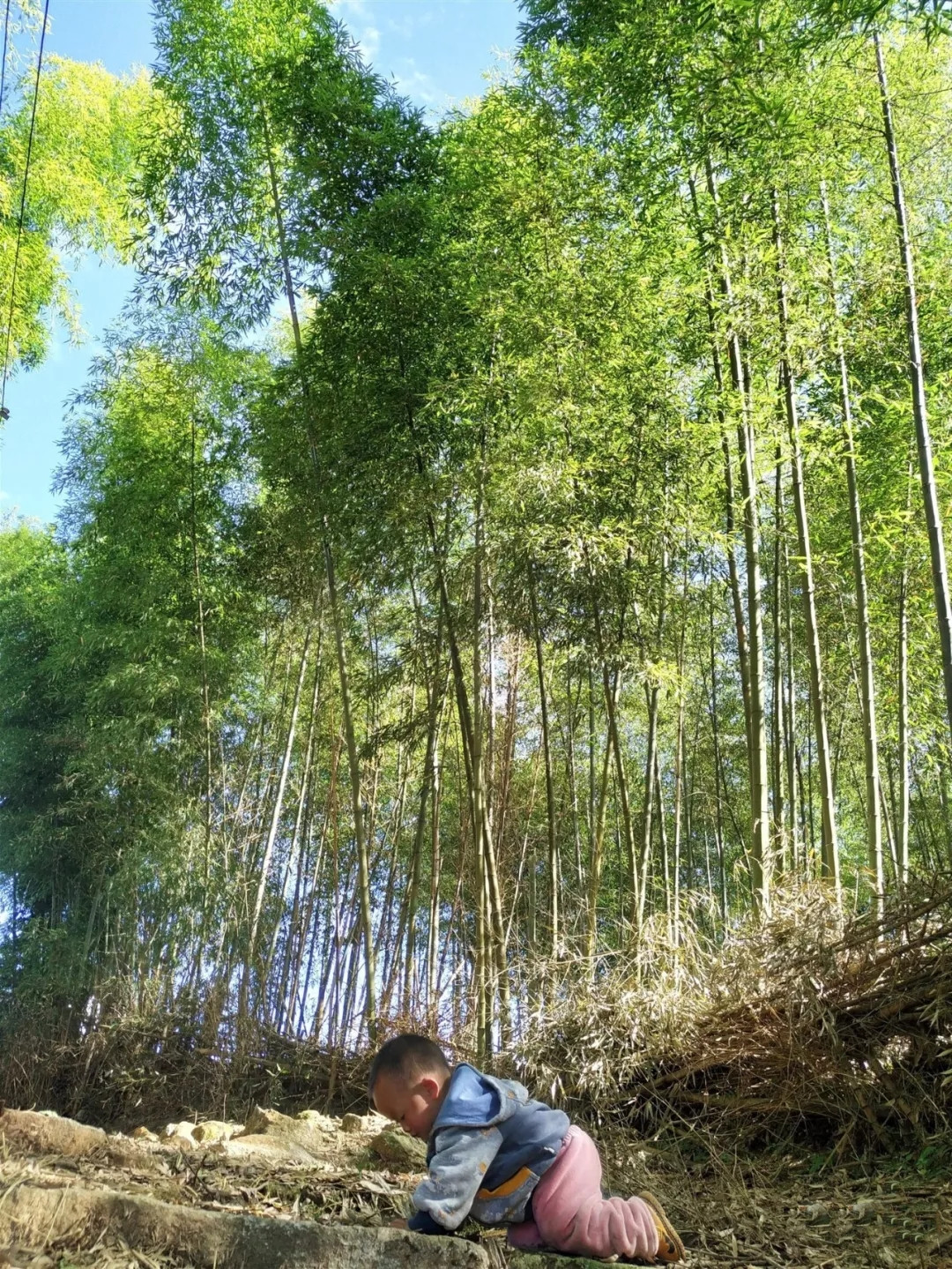 户撒佛祖的后花园现在怎么走,户撒为什么叫佛祖后花园