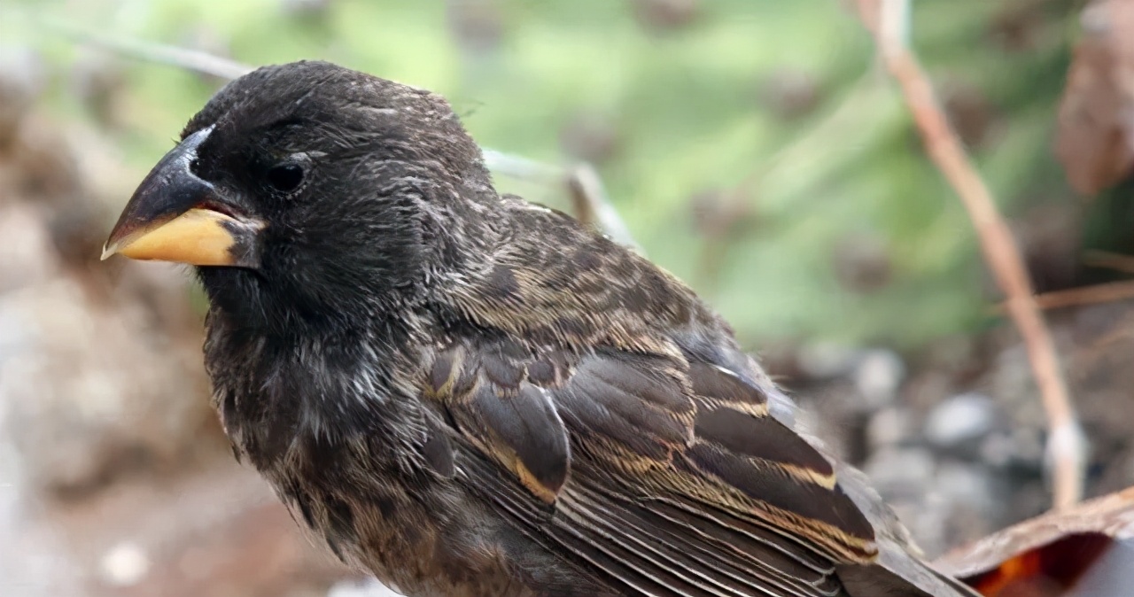刘润概率思维,刘润打破认知