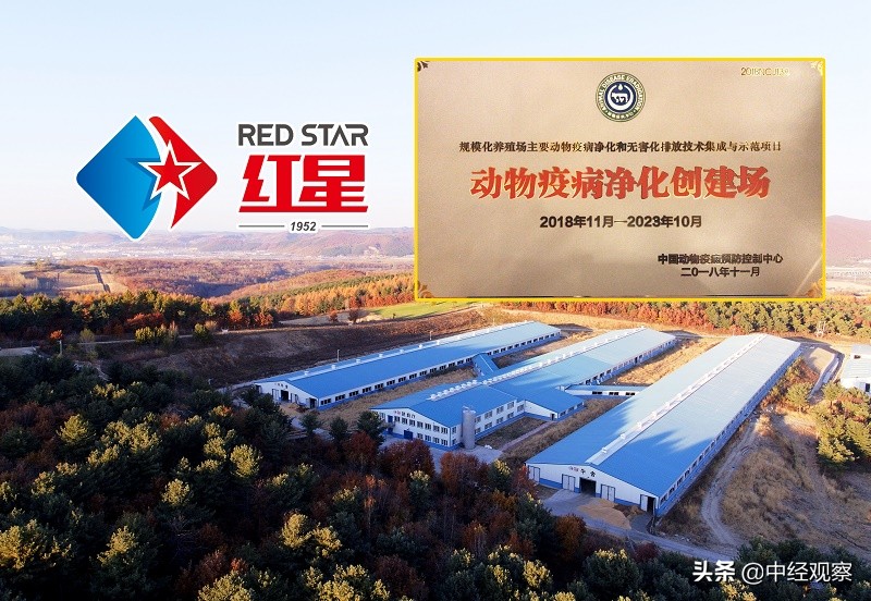 红星乳业集团有机牛奶,红星乳业2019年