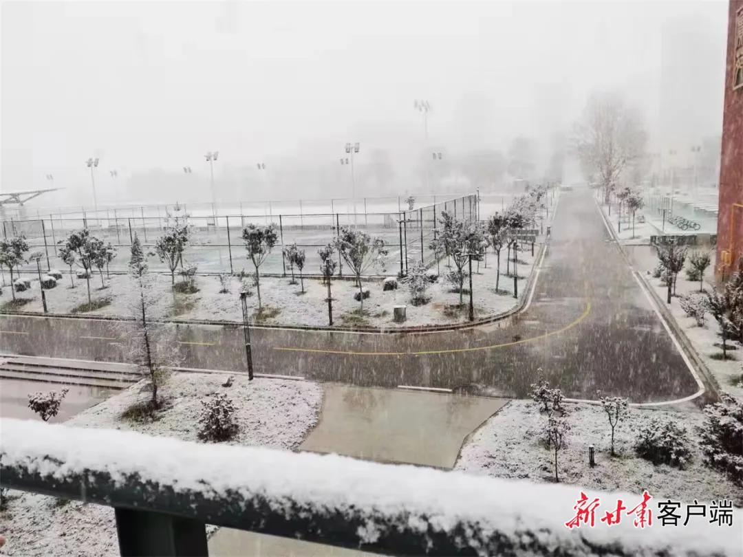 平凉崆峒区四路车现在停运了吗,平凉长途客车停运了吗