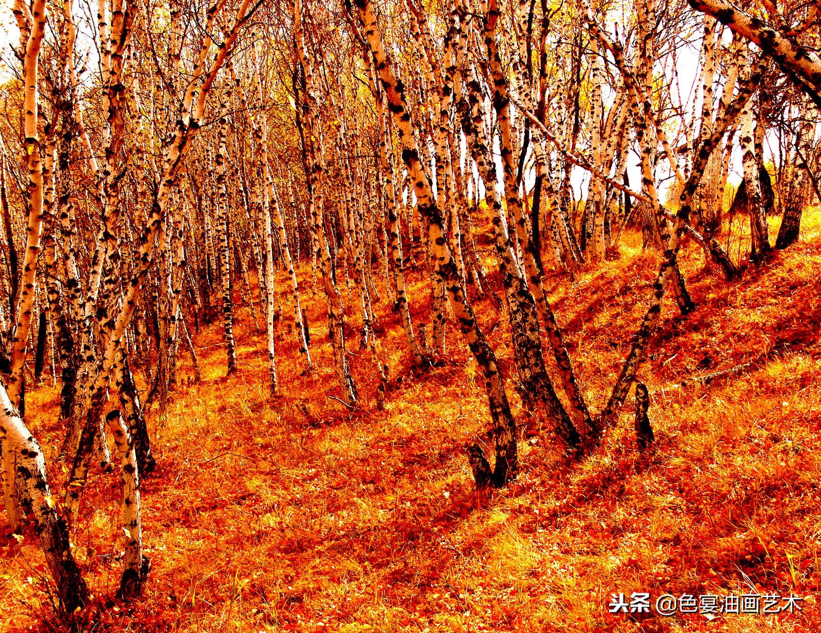 俄罗斯油画大师风景油画教程视频,油画大师油画风景创作教学视频
