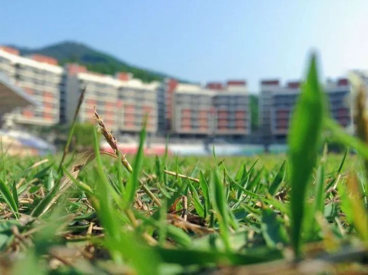 红岭中学可以走读吗,深圳红岭中学优缺点