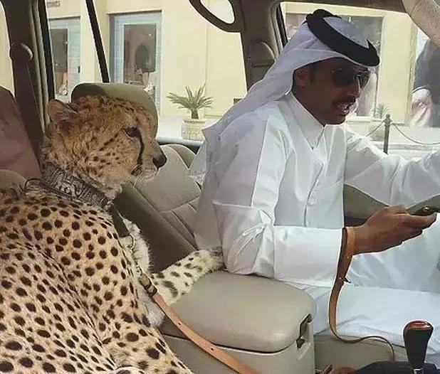 迪拜是黄金豪车云集的地方,迪拜真的满地都是跑车吗