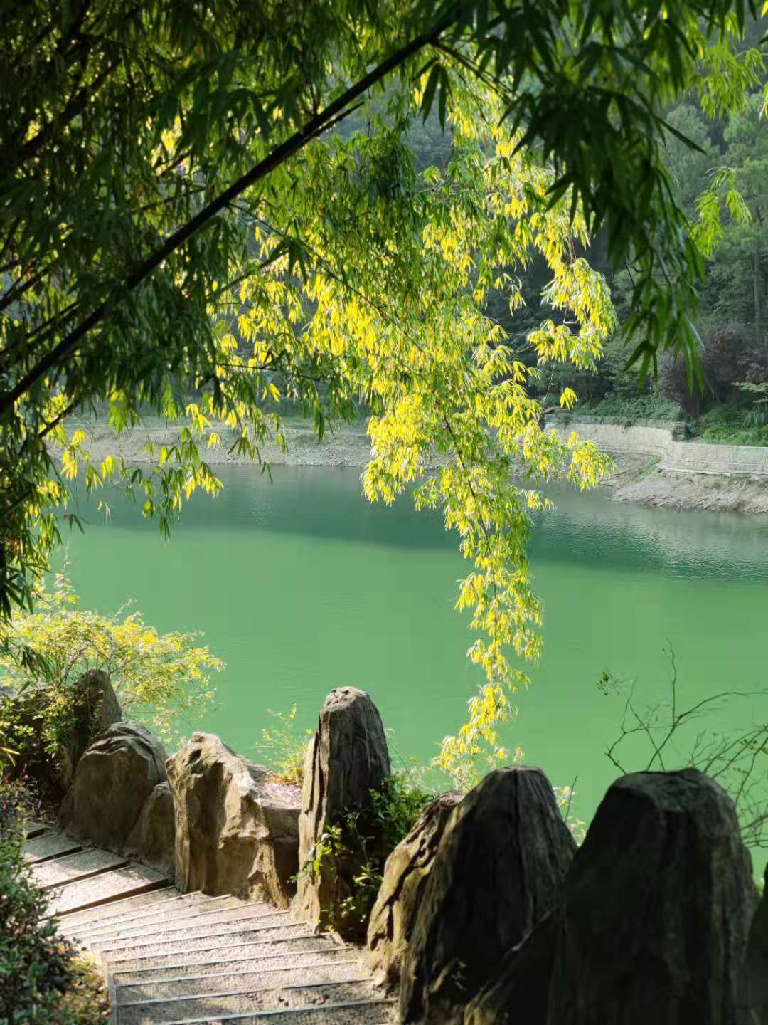 越美好,越艰辛(2021年暑假复盘)