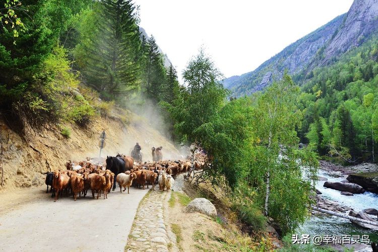 西天取经自驾游攻略,贵州出发自驾敦煌旅游攻略