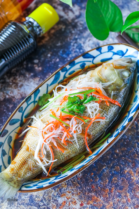 蒸鱼时先放蒸鱼豉油还是先淋热油,蒸鱼是先淋油还是先淋蒸鱼豉油