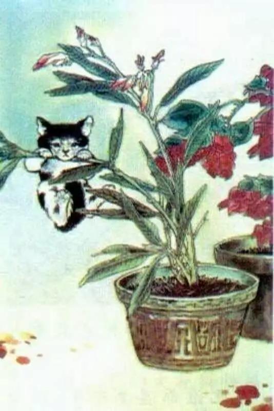 童年语文课本,90后童年课本语文