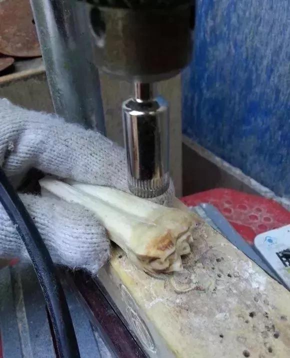 椹鎵嬩覆鍦嗙彔,椹鎵嬩覆