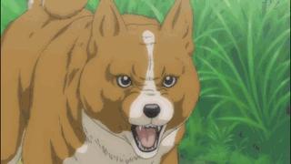 夏目友人帐重拾温暖治愈你的心灵,夏目友人帐最治愈的一集