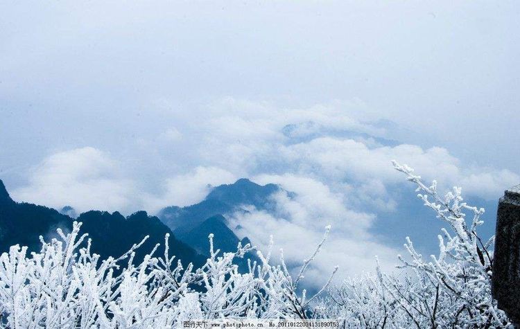 秋韵温柔岁月，冬情惊艳时光