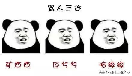 趣谈人的智慧,趣谈重庆