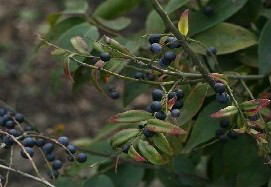 广西80后农村童年经典回忆,80后的童年回忆广西的农村生活