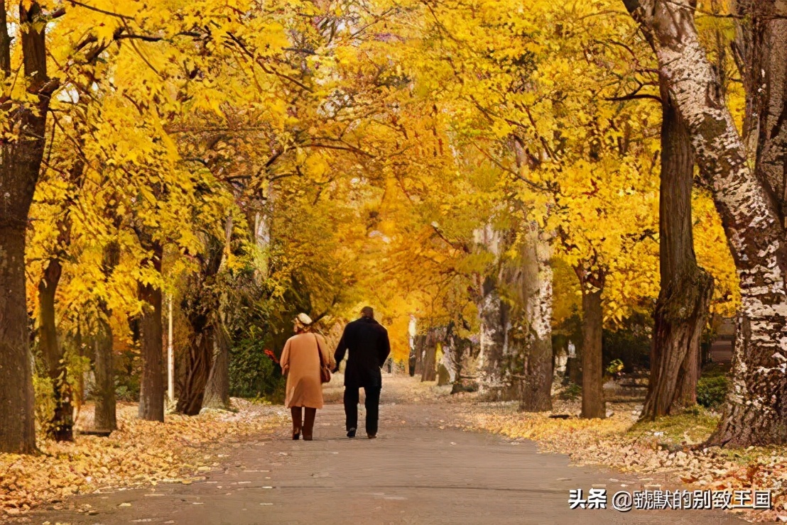 29岁还没有陷入婚姻的泥沼,50岁的人了如何走出困境