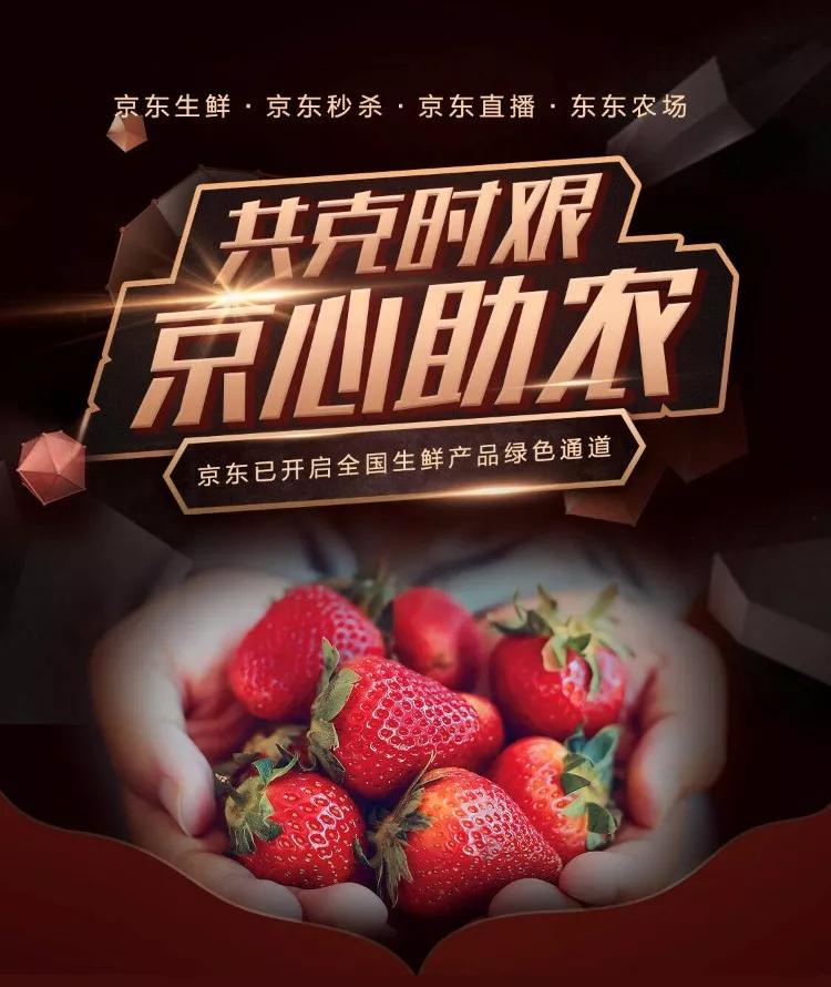 #战疫助农#水果蔬猜卖不出去,试试这些大平台