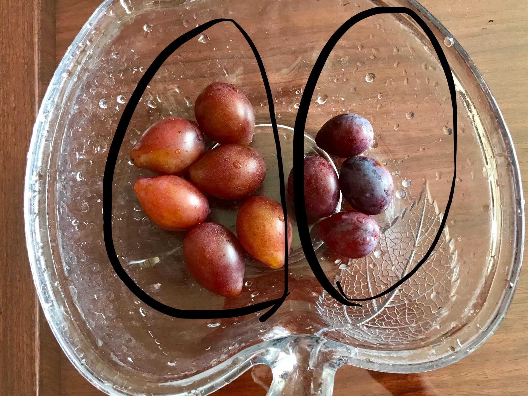 西梅近5年的价格,西梅哪里能买到正品