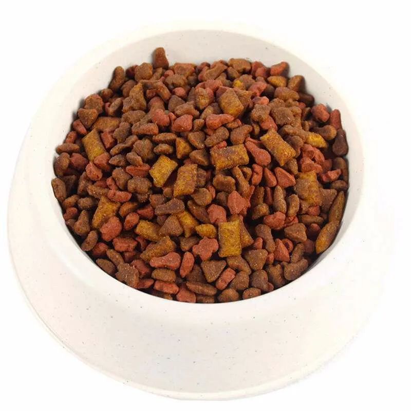 猫狗吃什么补充营养便宜,怎么配制猫狗都吃的食物