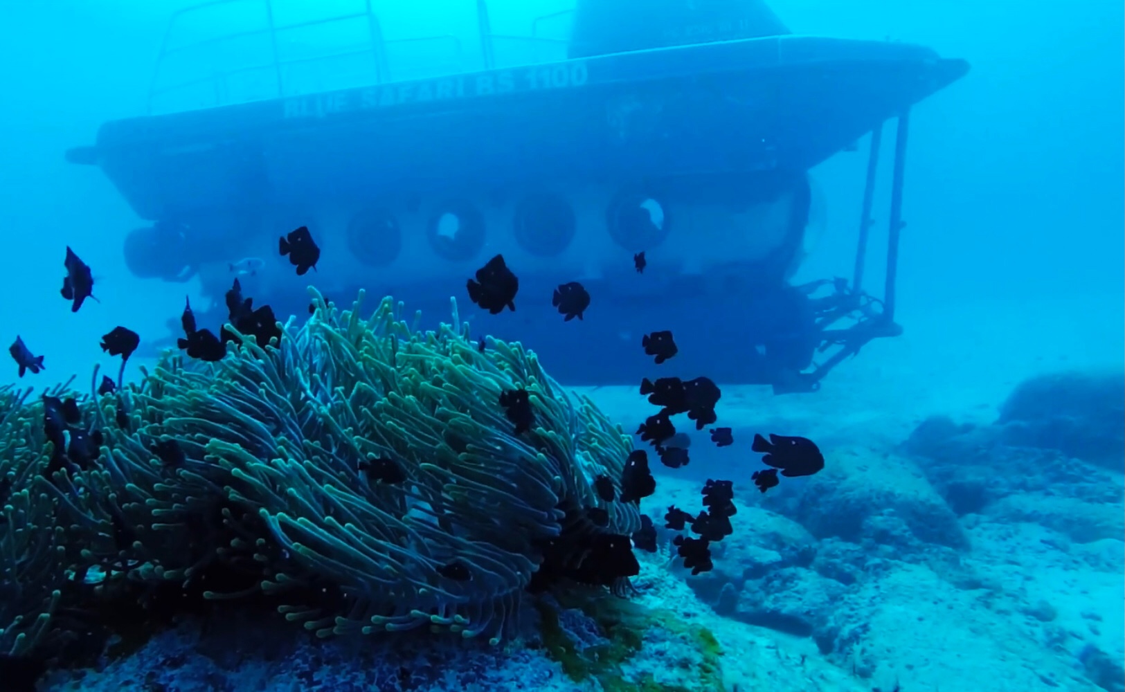 毛里求斯旅游攻略自由行,毛里求斯自由行攻略