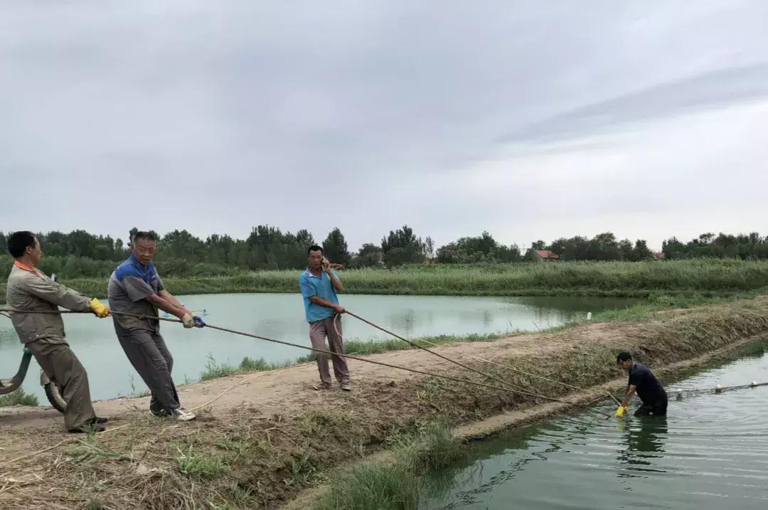 厉害！这个百万养虾大户，被评为全县淡水养殖状元！