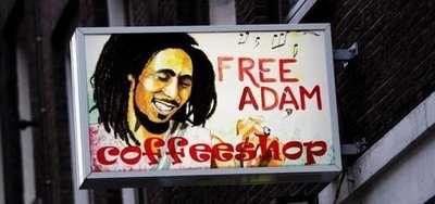 荷兰究竟是怎样一个国家,荷兰究竟是怎样的国家