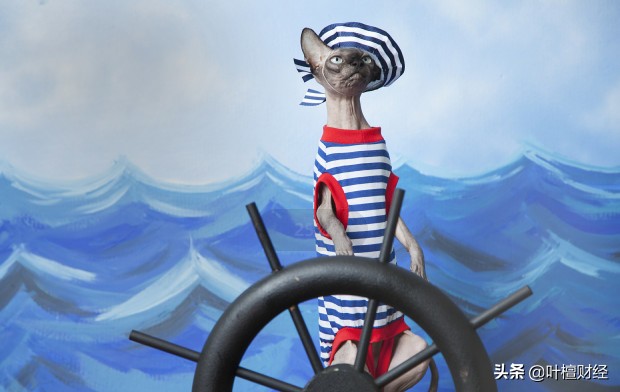 揭秘牛股背后的规律,牛股集中营是怎么回事