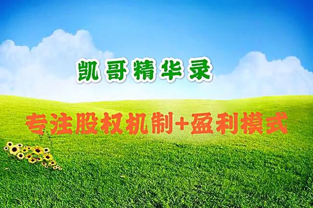 合伙创业必须有老大，老大必须占51%-80%大股